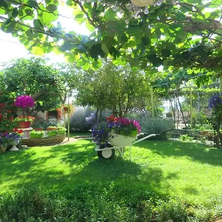 Rustique Roza Biograd - Premium Location Apartamento *
