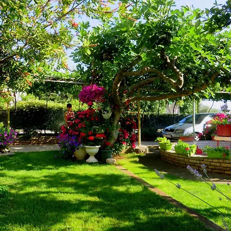 Apartment Rustique Roza Biograd - Premium Location
