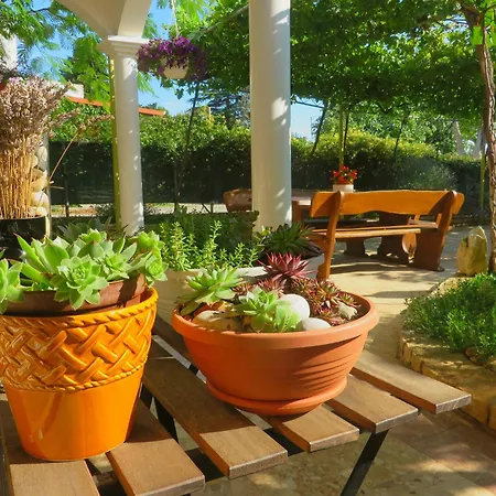 Apartamento Rustique Roza Biograd - Premium Location *