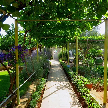 Rustique Roza Biograd - Premium Location
