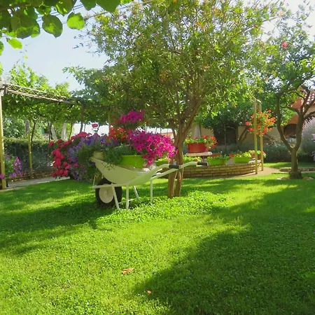 Apartment Rustique Roza Biograd - Premium Location Biograd Na Moru
