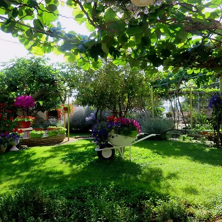 Rustique Roza Biograd - Premium Location Apartment Biograd Na Moru